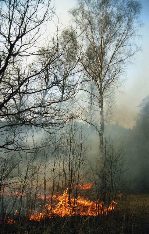 2003 - wypalanie traw